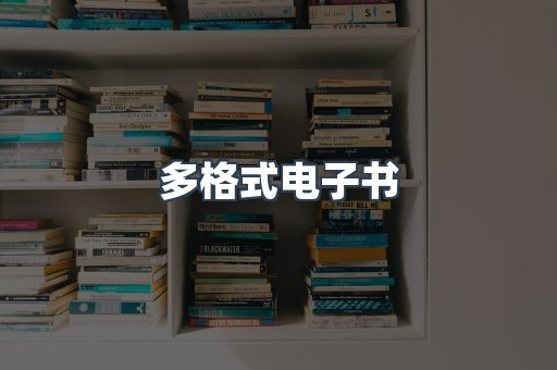 多格式电子书